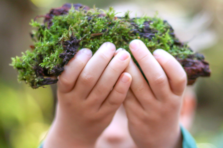 Enfant dans la lumière