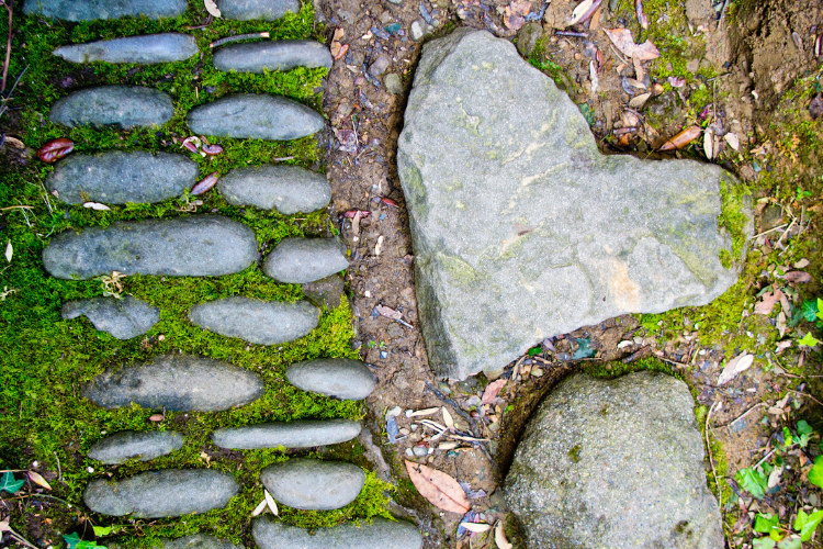 Écoute ton Coeur