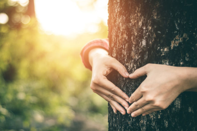 Coeur avec les mains