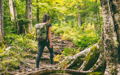 Sur le chemin de la Beauté…