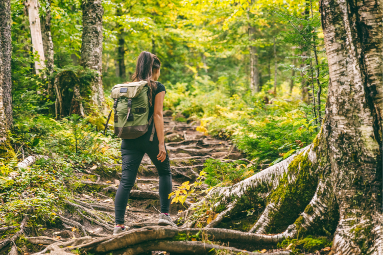 Sur le chemin de la Beauté…