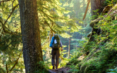 Viens, je t’emmène dans la forêt…