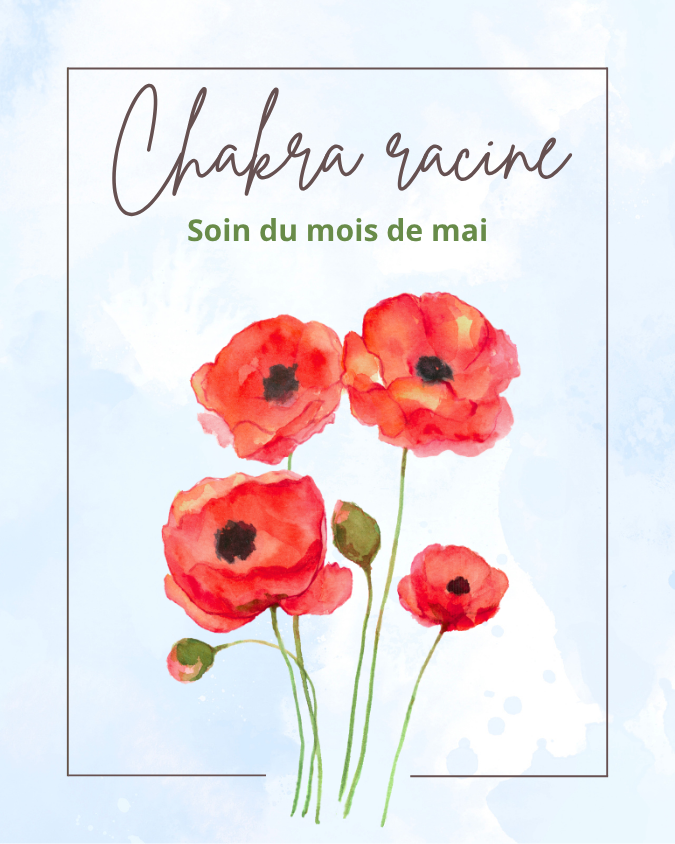 soin chakra racine